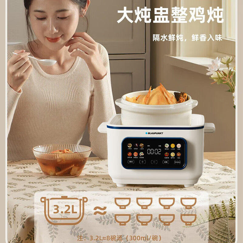 BLAUPUNKT德国蓝宝电蒸锅电炖锅煲汤炖汤锅 多功能锅家用电锅蒸包子锅燕窝炖盅BP-ZDG15A 电炖锅