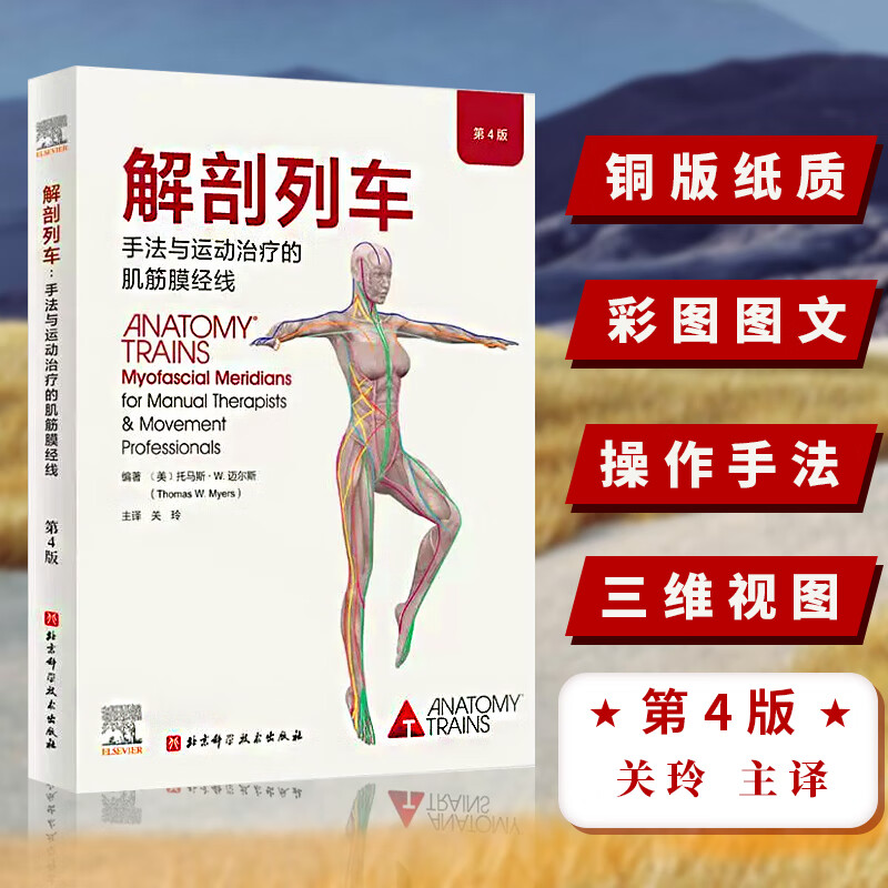 第4版 关玲 主译 奈特人体解剖图谱基础人体解刨彩色肌肉功能测试
