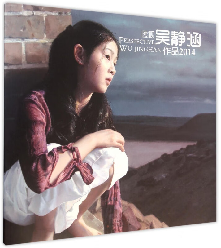 透视吴静涵作品(2014)