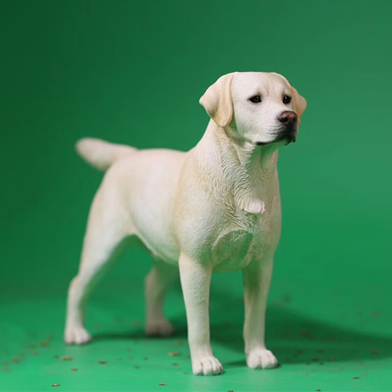 莫属模型jxk 1/6拉布拉多犬仿真动物模型兵人树脂摆件宠物狗手办桌面