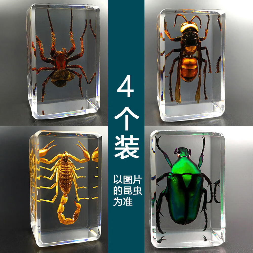 标本透明树脂创意教学观察玩具蝎子蜘蛛 绿色金龟土蜂毛蜘蛛蝎子4个装