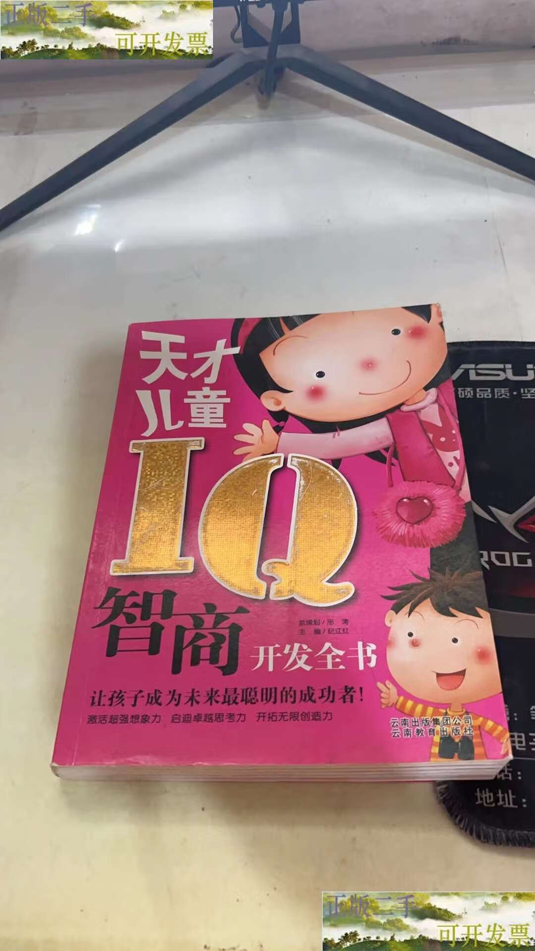 【二手9成新】天才儿童iq智商开发全书 /纪江红 云南教育