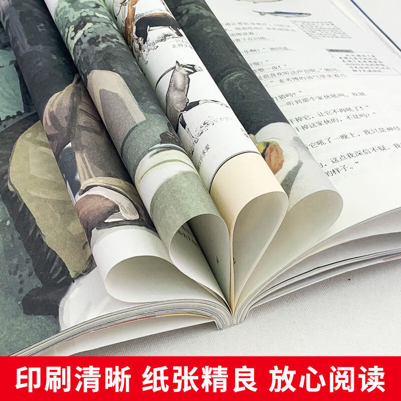 老人与海正版海明威原版原著经典文学名著小说乞力马扎罗的雪孩子 老人与海