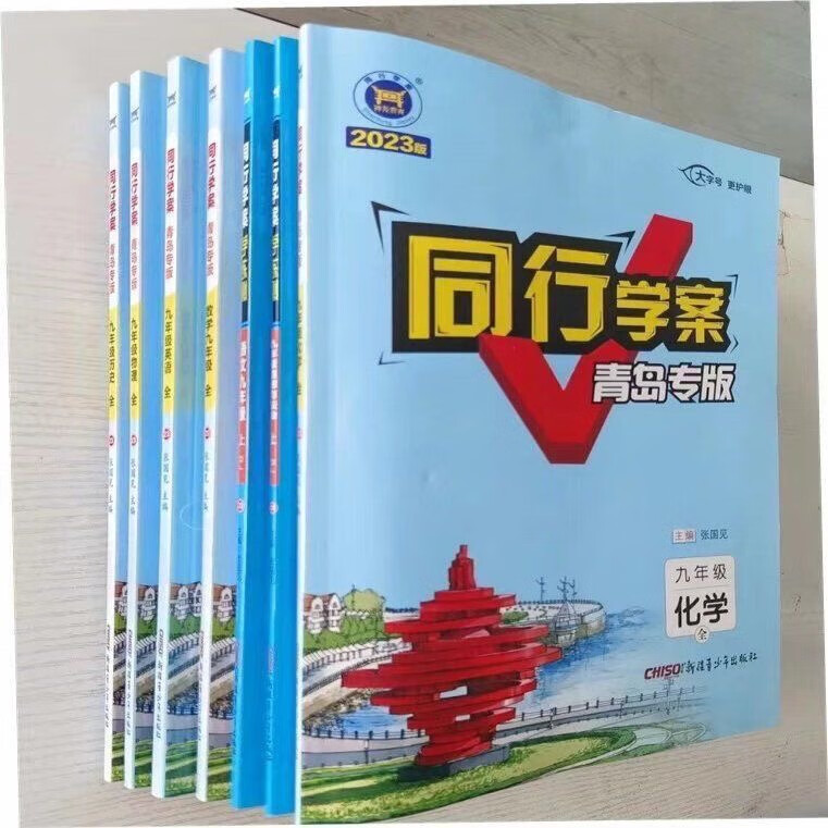 2024新版同行学案九年级全一册语文数学英语物理化学历史道德 物理
