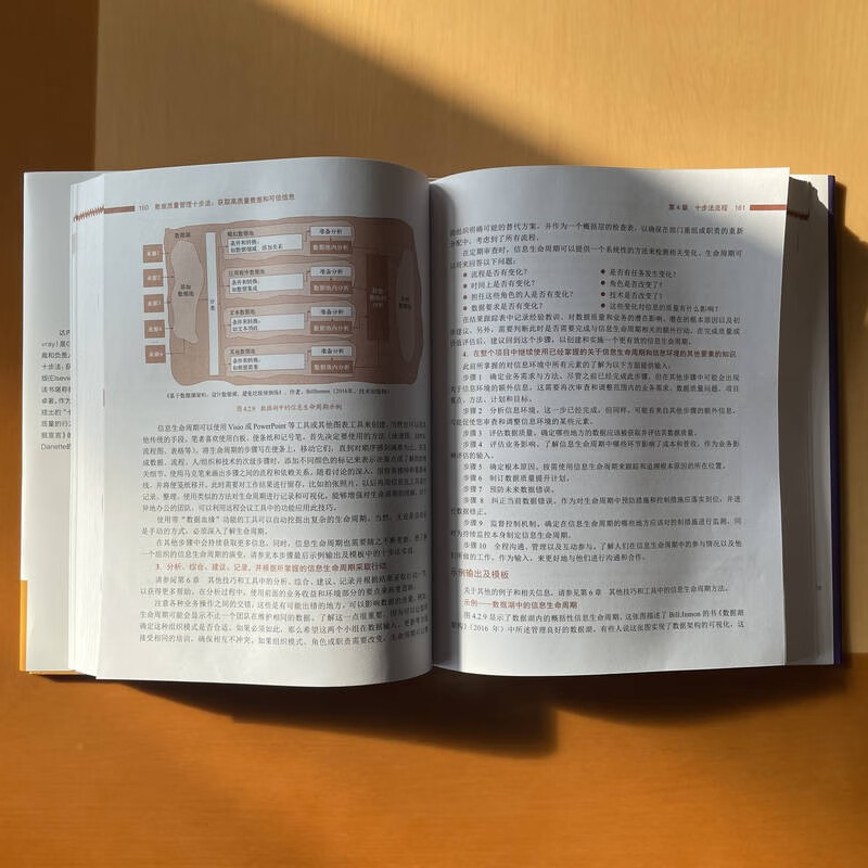 数据质量管理十步法：获取高质量数据和可信信息（原书第2版）详情图
