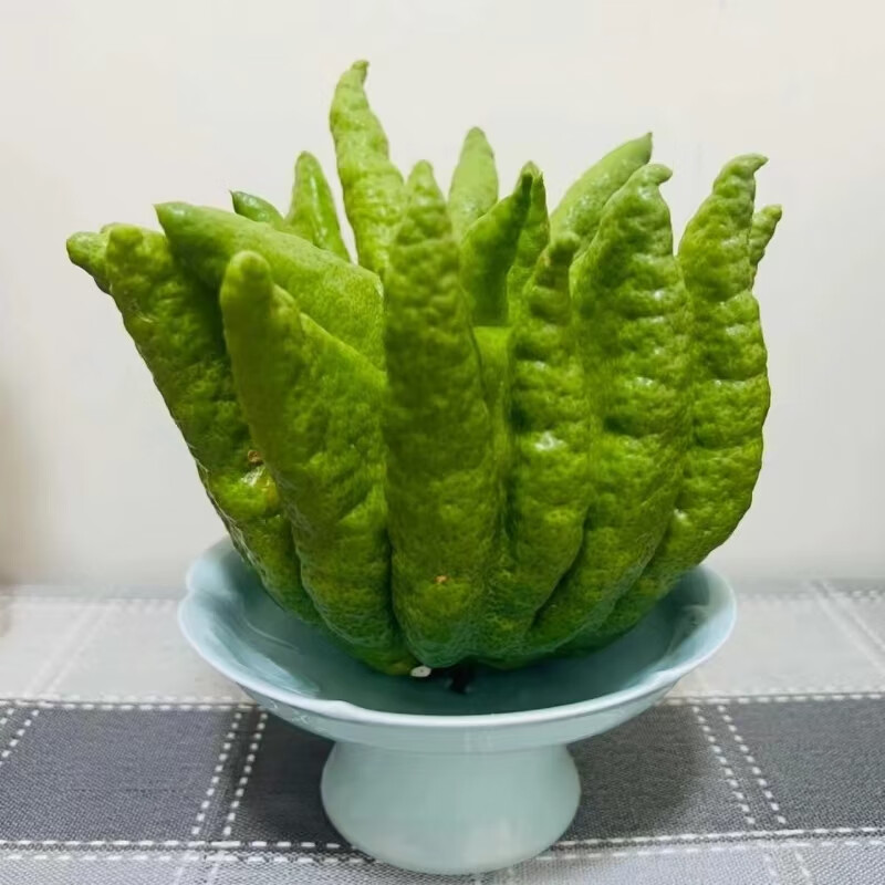 【顺丰冷链】精品a级佛手佛手钳观赏闻香云南昆明基地直发鲜花 佛手一
