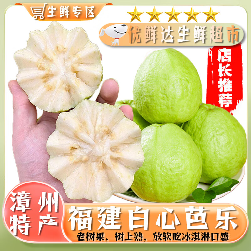 骑猴赶马福建水果芭乐【配酸梅粉】当季新鲜健身水果珍珠番石榴芭乐果