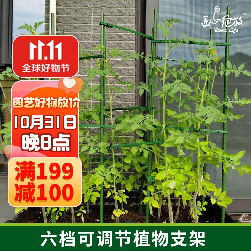 匠心绽放园艺支架四边形60cm爬藤架番茄黄瓜种菜架子植物攀爬架花爬架怎么样,好用不?