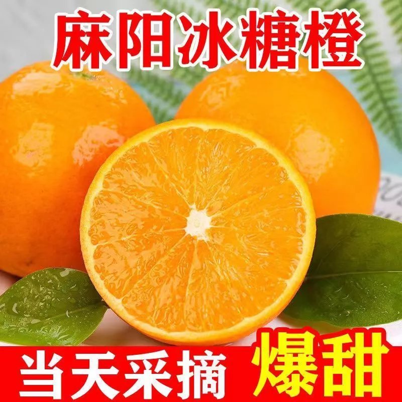 麻阳冰糖橙5/10斤特级大果当季橙子批发新鲜水果 精选大果【带箱9-10斤】