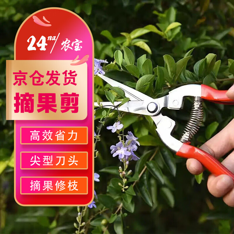 ũ����֦����ժ������֦����ժ������԰�ջ��չ��߼���֦���� ��ɫ