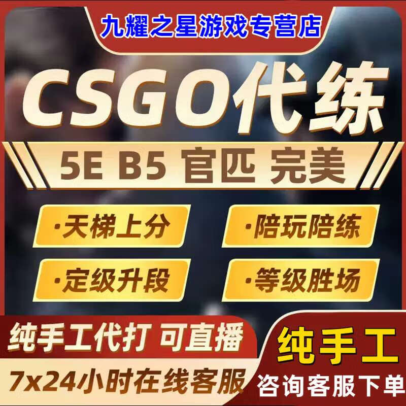 csgo代练csgo陪玩完美世界5e天梯b5上分定级赛官匹段位等级胜场 鸿天