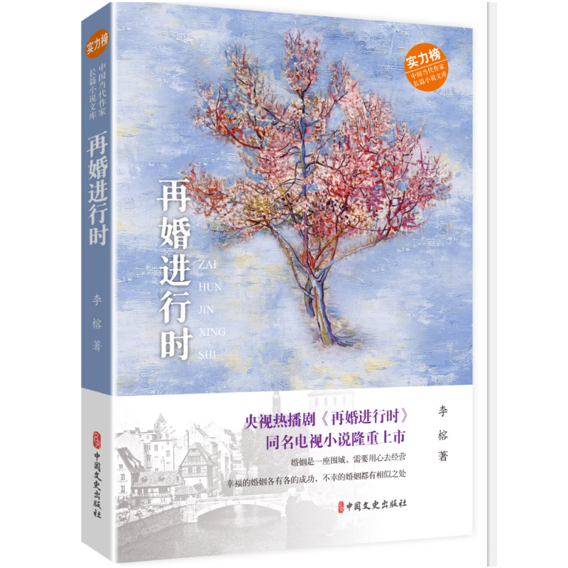 再婚进行时(中国当代作家长篇小说文库)