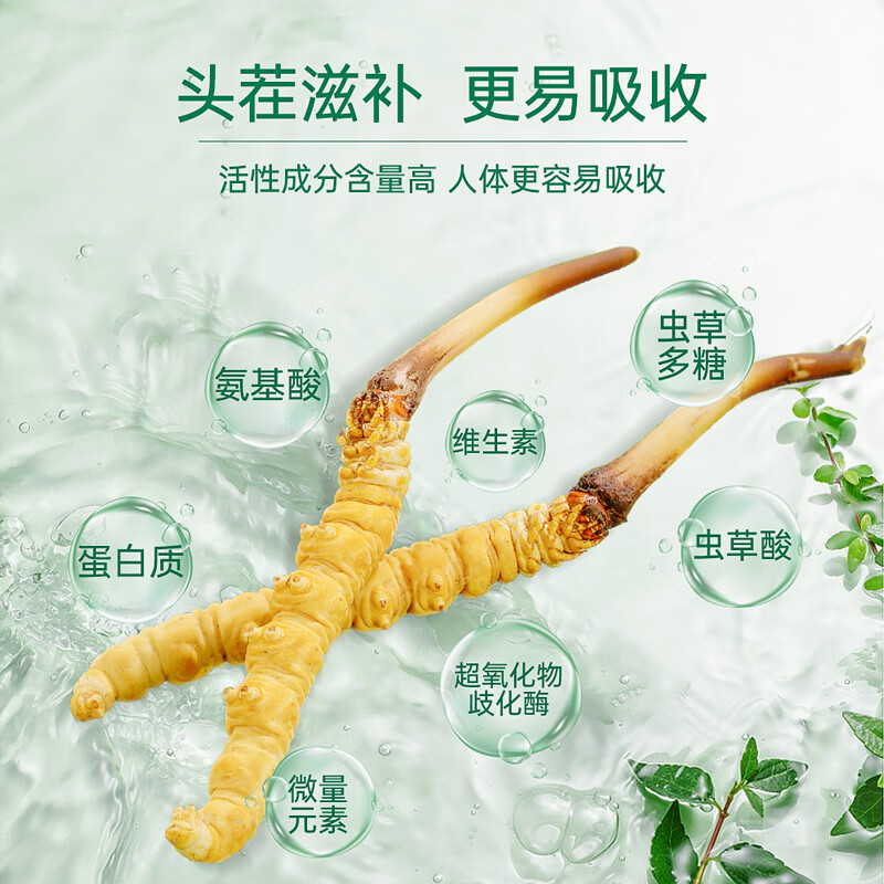 藏汐堂【2026年头茬鲜草】新鲜冬虫夏草 头期鲜虫草 滋补营养品 0.6克/条 15条*1盒