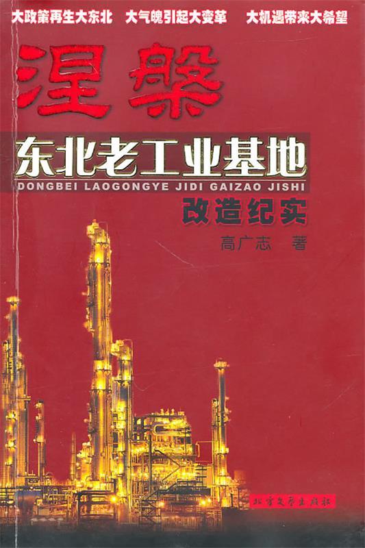 涅槃—东北老工业基地改造纪实