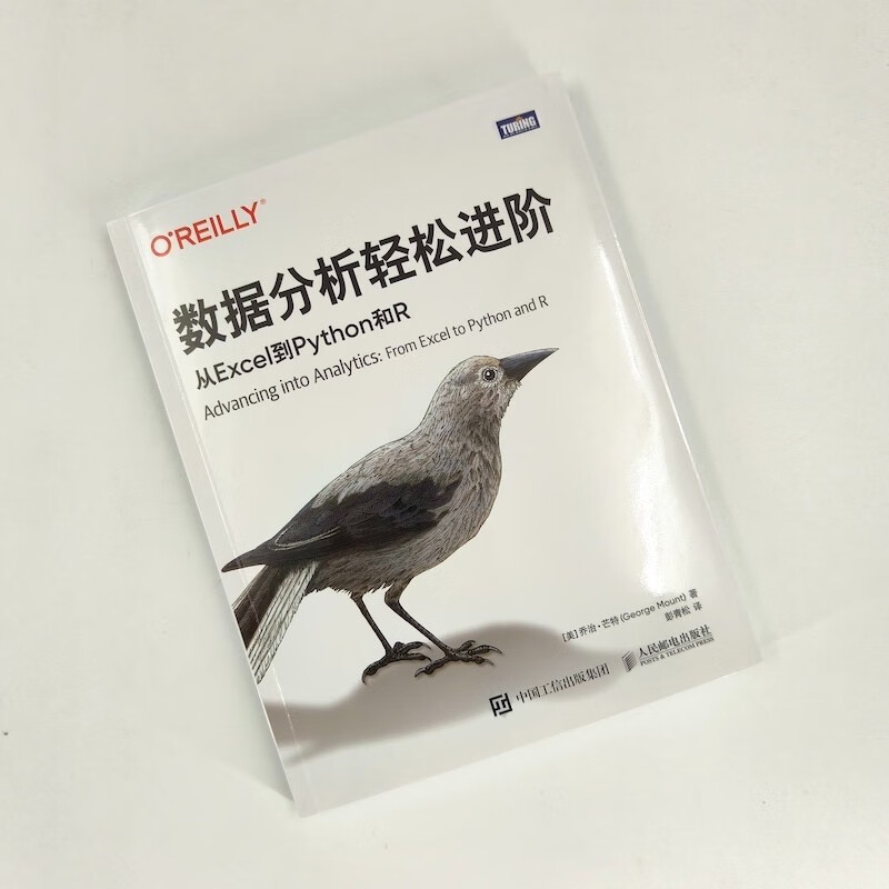 数据分析轻松进阶：从Excel到Python和R（图灵出品）
