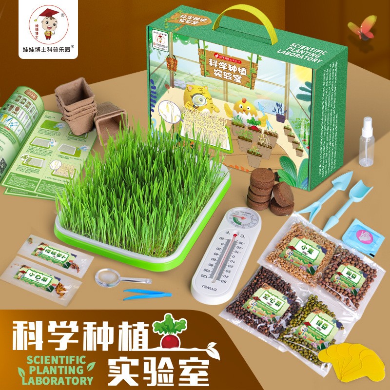 儿童种植科学实验套装玩具种子发芽生长菜育苗盘种蔬菜植物观察盒