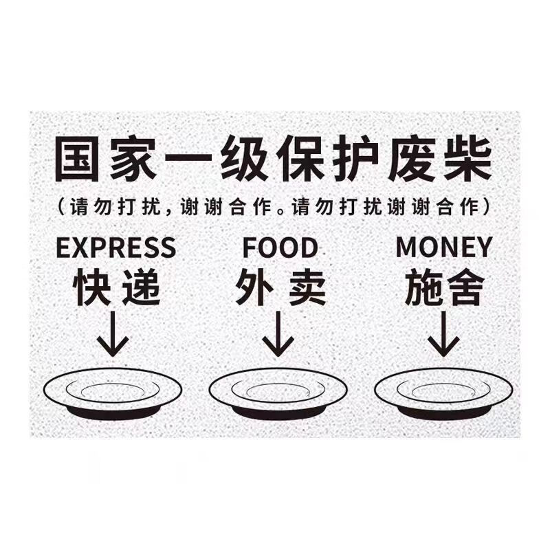 艺彩蝶入户门国家一级保护废物地垫文字废柴丝圈个性搞笑耐磨耐脏