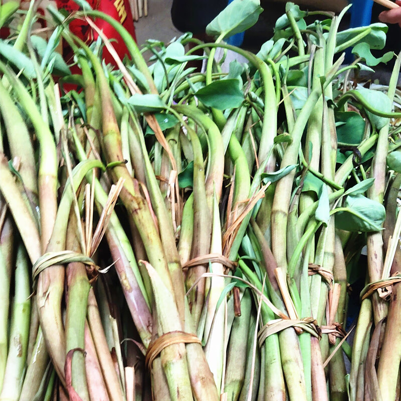 宜享健康云南芋头芽芋头茎芋苗花芋茎秆2斤特产非红杆芋头花新鲜 500g