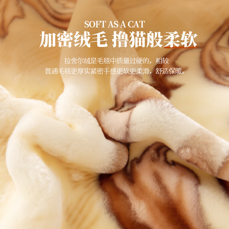 恒源祥毛毯被子加厚冬季盖毯子珊瑚拉舍尔小沙发午睡办公室宿舍单人秋冬 贵妃【双层拉舍尔 铺盖两用】 195*230cm 约9斤