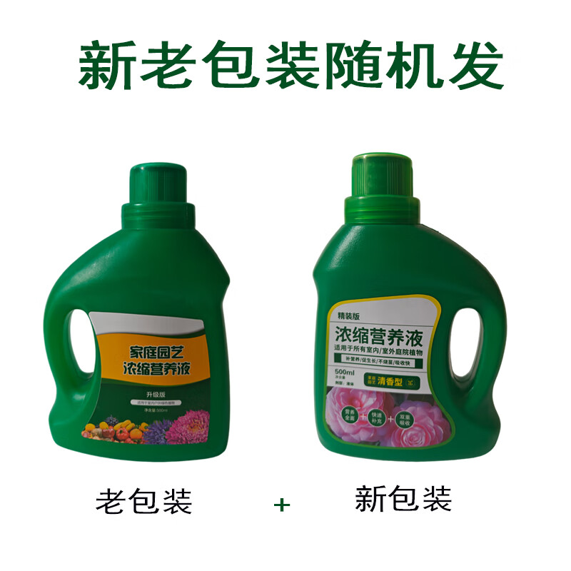 佛肚竹营养液通用型佛肚竹专用营养液花肥绿植水培植物肥料治黄叶 浓缩型营养液*4瓶*500ml