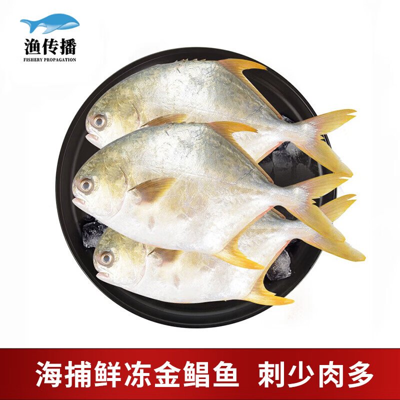 渔传播冷冻国产深海金鲳鱼总重900-1200g 3条装生鲜海鲜烧烤食材