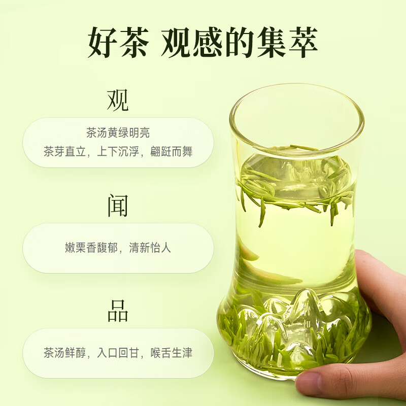 竹葉青茶葉2024新茶峨眉高山綠茶特級品味熊貓禮盒裝80g四川特產 80g 熊貓伴手禮盒裝