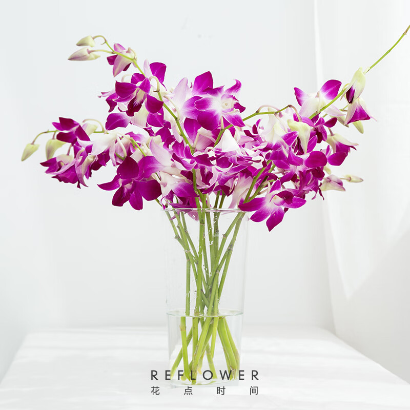 历史生活鲜花价格查询的网站|生活鲜花价格走势图