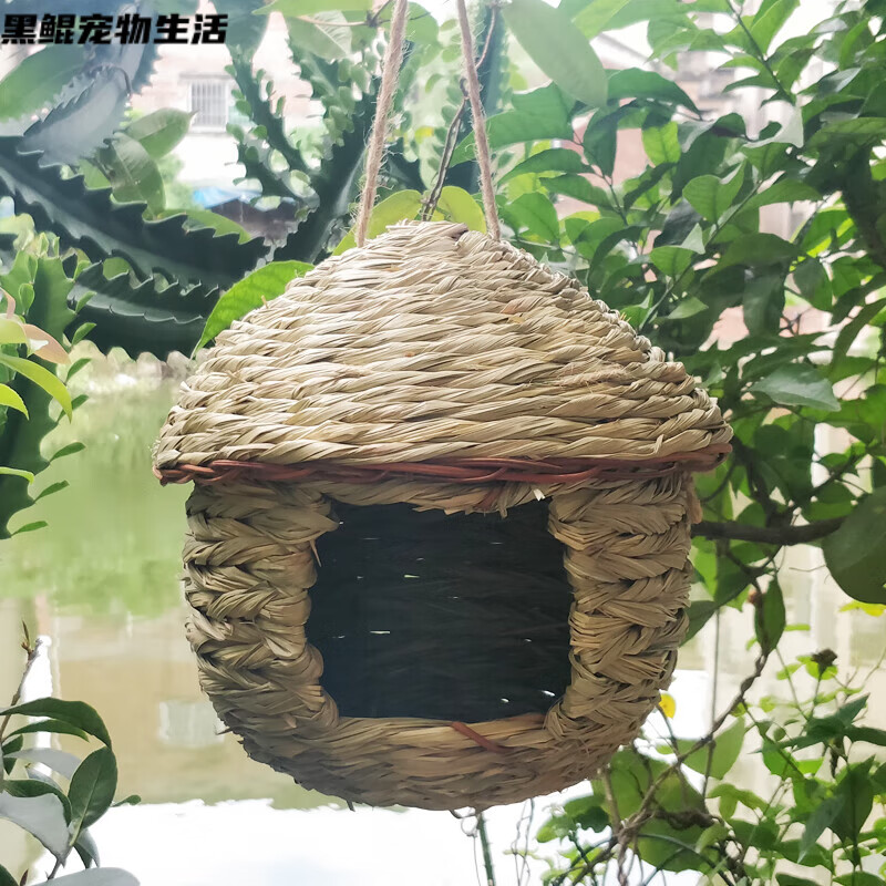 拾喜猫手工草编鸟窝鸟巢鸽子窝八哥鹩哥繁殖窝牡丹旋风虎皮鹦鹉花园