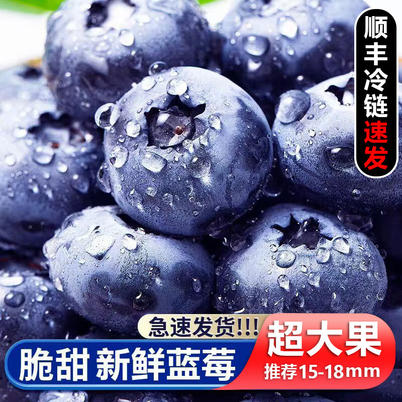 均垚国产蓝莓 当季国产大果蓝莓 生鲜新鲜水果礼盒 单果12-
