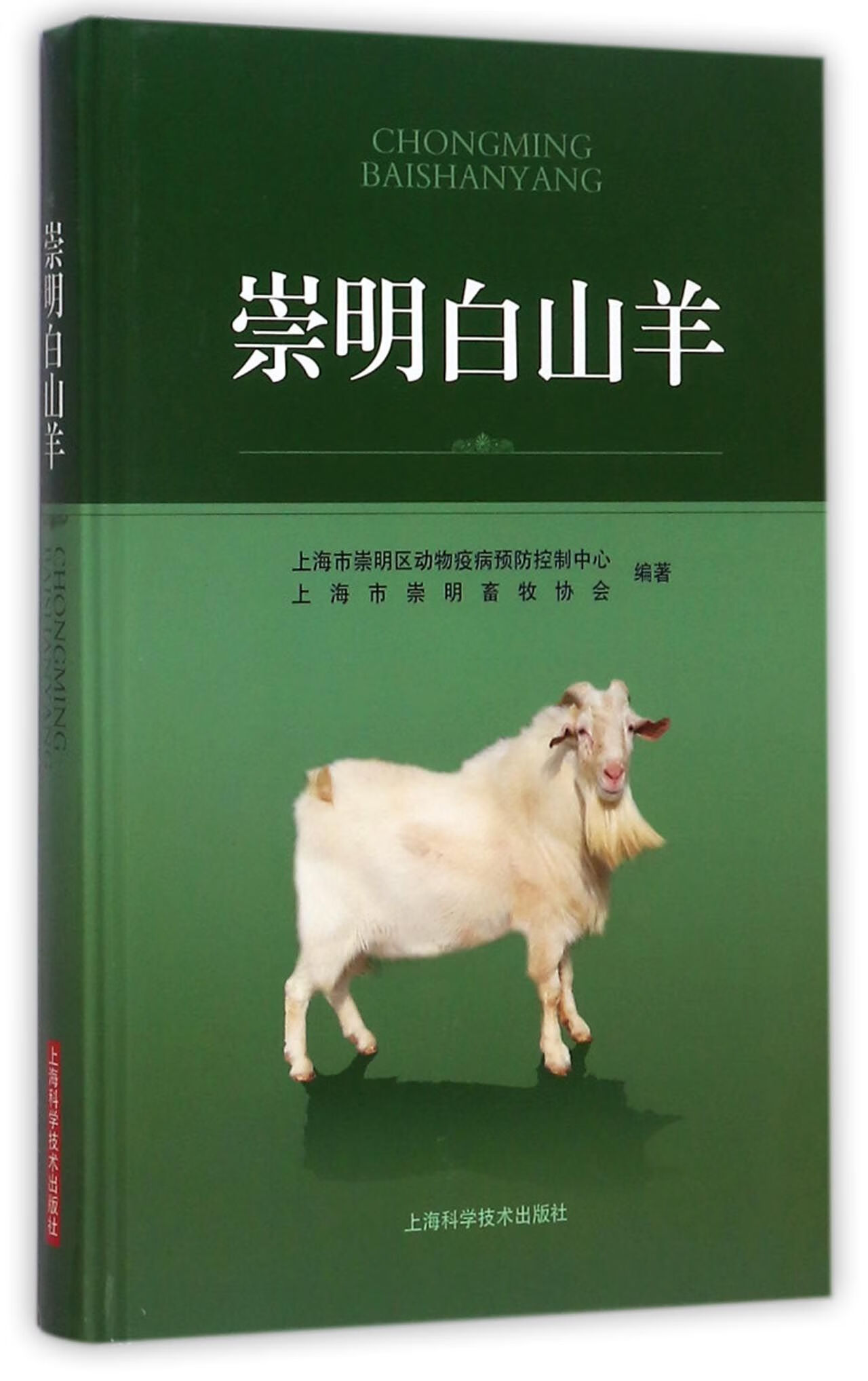 崇明白山羊(精)