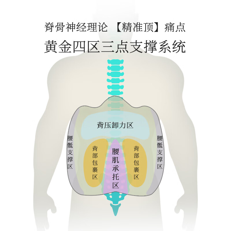 金脊健山脊护腰垫 办公室腰靠垫座椅靠垫汽车靠垫 腰椎问题支撑久坐腰垫 山脊腰靠垫-背有金山