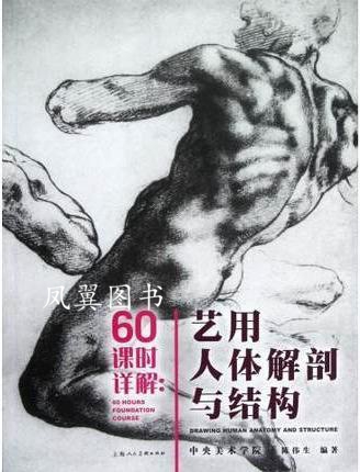 60课时详解 艺用人体解剖与结构 陈伟生编著 上海人民美术出版社