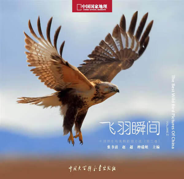 中国国家地理野生鸟类摄影大赛 飞羽瞬间