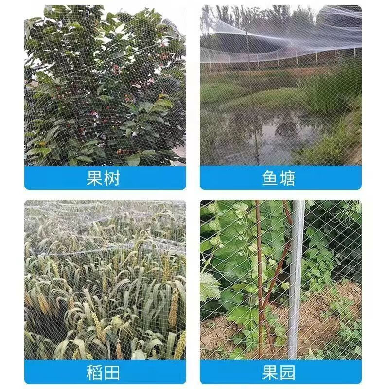 康鸿麻雀捕捉自动网新款防鸟网农用园林农田葡萄园果园鱼塘稻谷通用型