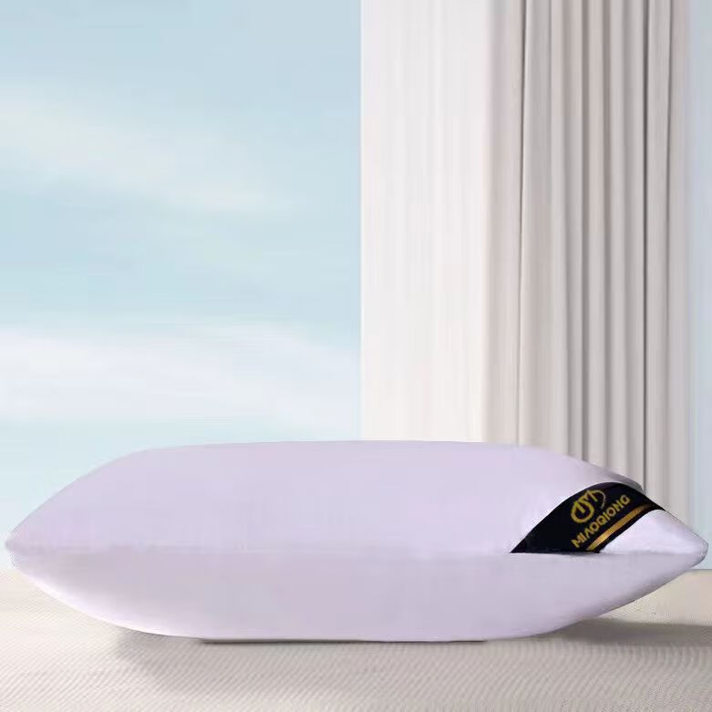 夜律酒店枕头枕芯一对装助眠护颈椎五星级酒店羽丝绒宿舍午睡家用枕头 单边低枕白色单只装小号30*50