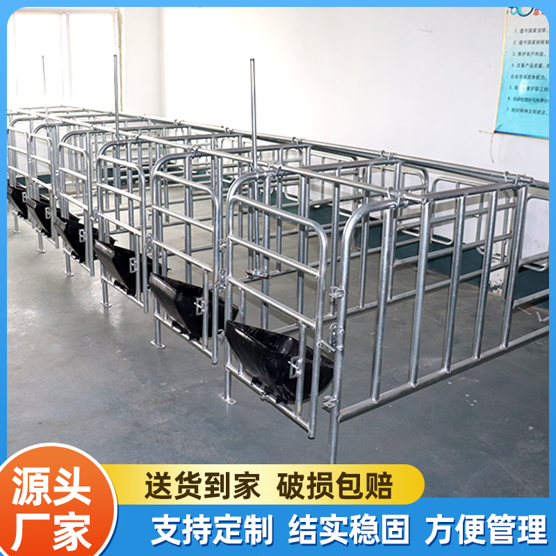 慈爵母猪定位栏猪用定位栏猪场养殖设备厚热镀锌母猪限位栏猪圈漏粪