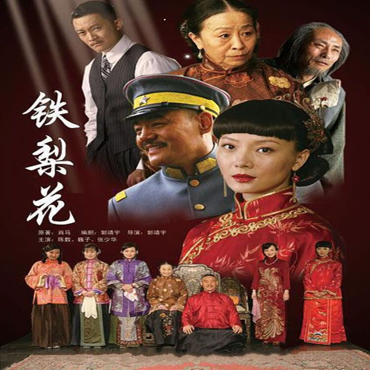 大型传奇电视剧铁梨花碟片dvd完整版43集 陈数巍子