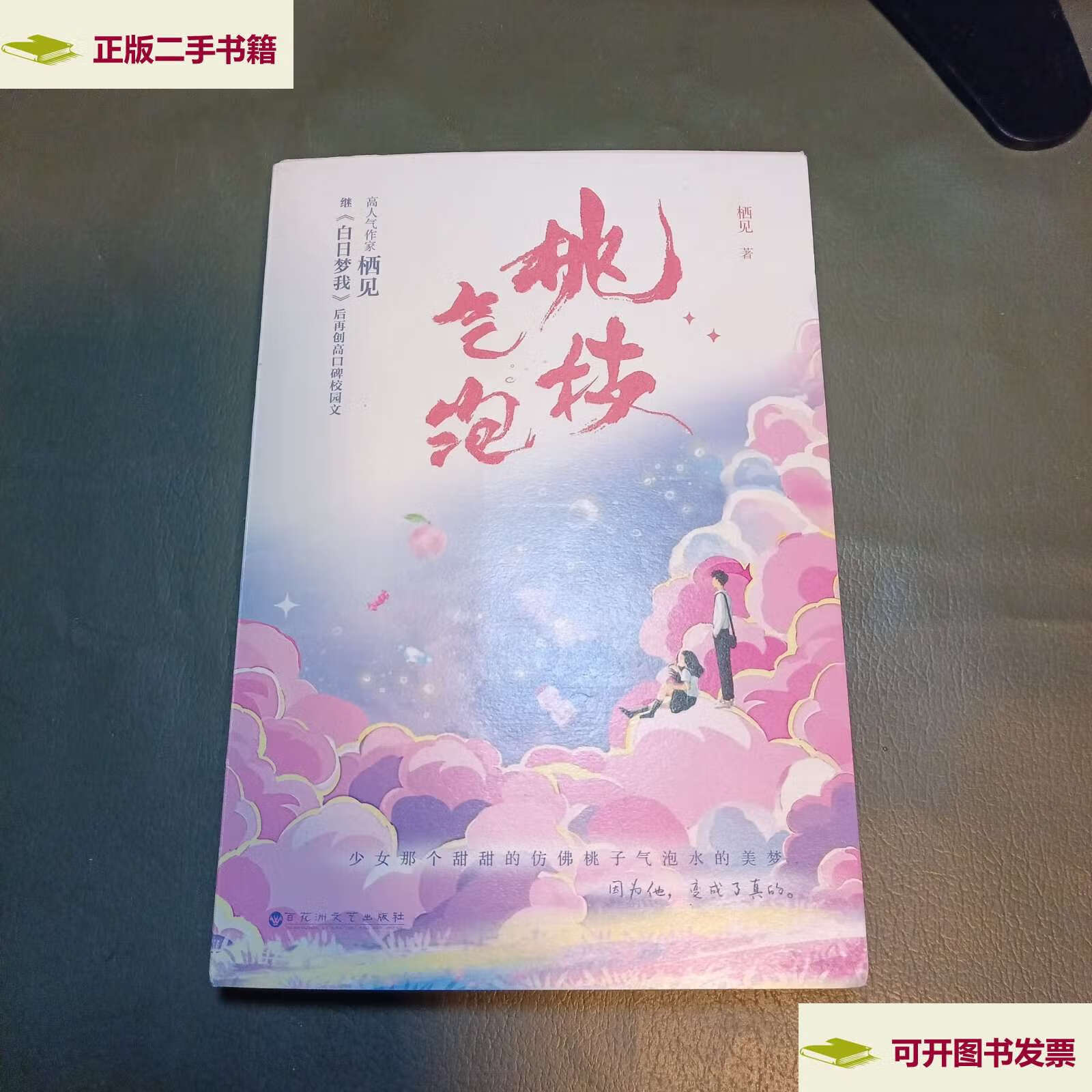 【二手9成新】桃枝气泡  /栖见 百花洲文艺