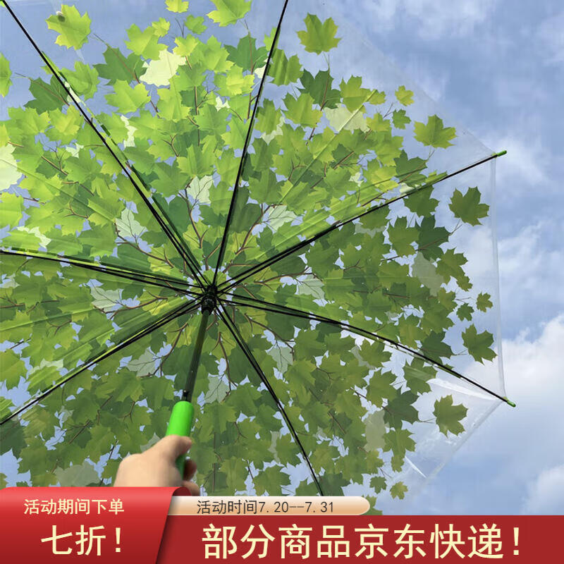 绿色雨伞寓意图片