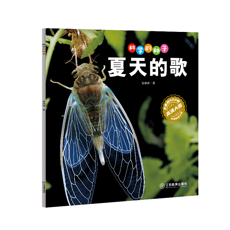 科学的种子：夏天的歌3-8岁儿童百科认识科学概念 养成科学思维 激发科学探索欲
