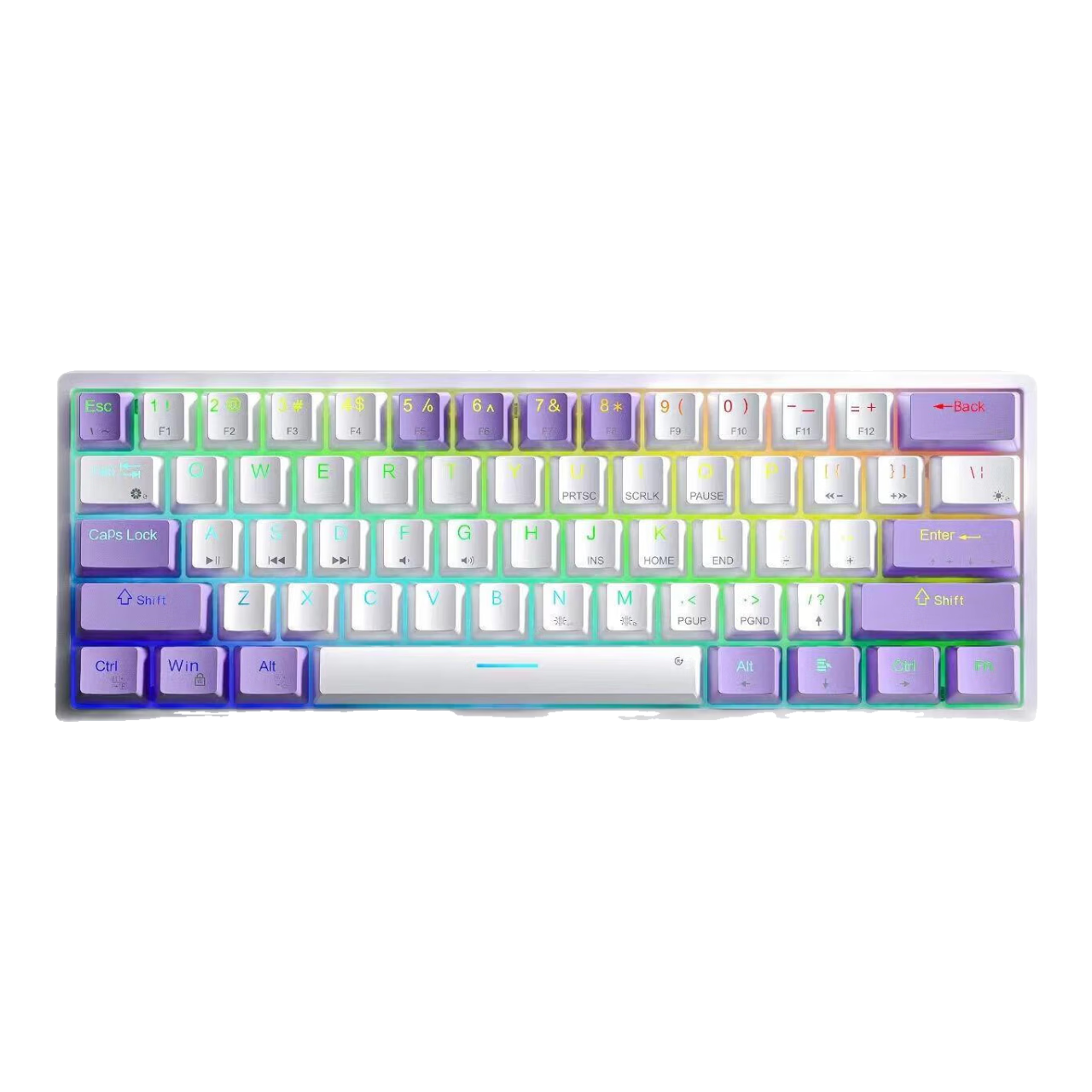 ڲ루AULAе61ЯСŲʵЧȲε羺Ϸ칫̨ʽԱʼǱ еϰסȫȲ+ȫ޳塿  6198.1Ԫ