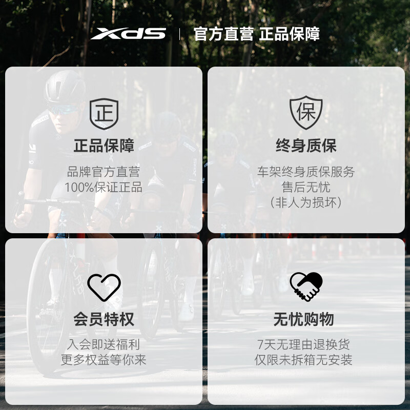 喜德盛(xds)公路自行车24款桶轴版AD350内走线车架油刹20速变速破风成人车 奶油黄/白(桶轴版) 480(推荐身高165-175cm)