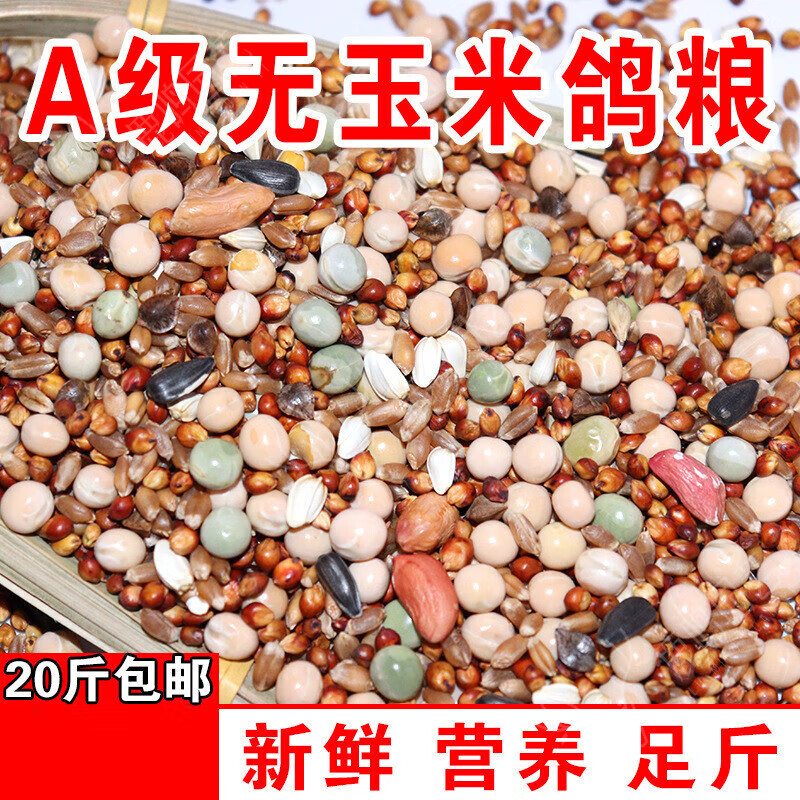 鸽子饲料鸽粮20斤鸽食批发无玉米鸽子食粮饲料幼鸽鸽粮信鸽赛鸽混
