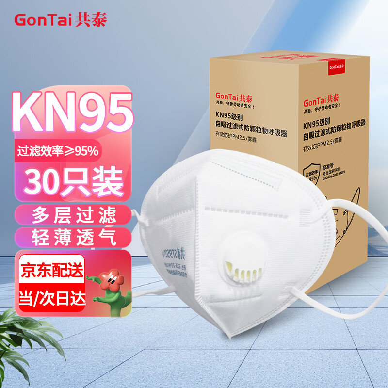 ̩ KN95 ҵҷ۳PM2.5зĭ GT9501V 30ֻ