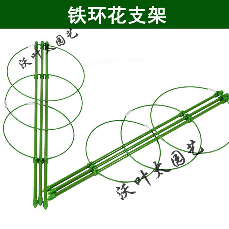 支撑杆花支架爬藤架文竹花架绿萝固定蟹爪莲欧月植物攀 75厘米高一个