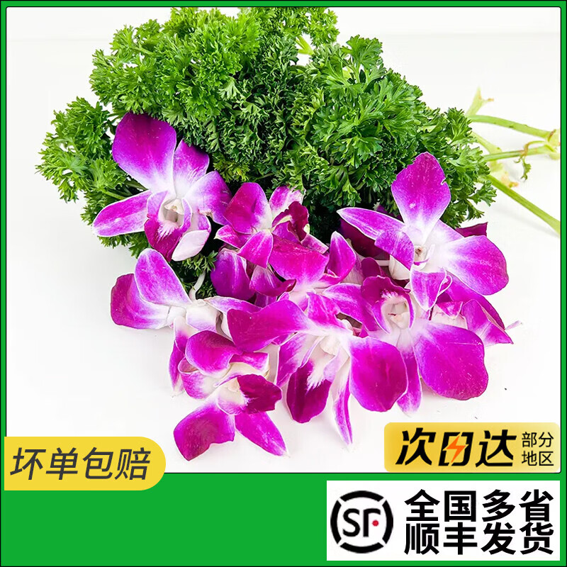 新鲜杨兰花荷兰芹法香洋兰花组合酒店火锅摆盘装饰材料花酒店冷盘