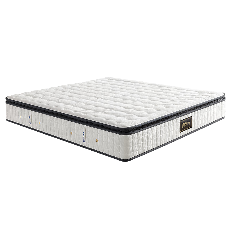 ֥ˣCHEERS5Ǵ濹˫ϯ˼齺˯1.5mƽA4 2294.24Ԫ()