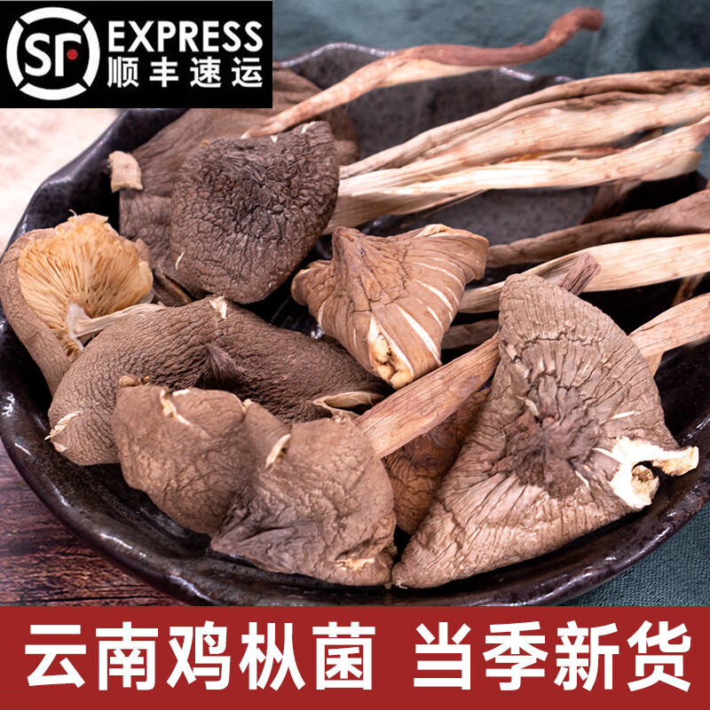 云南新货野生鸡枞菌干货100g火把鸡纵云南特产蘑菇精选野生菌包邮