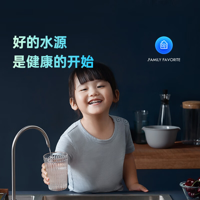 BKA 前置过滤器反冲洗家用全屋净水器6吨大通量万向型S10W Pro任意装 高端万向Pro