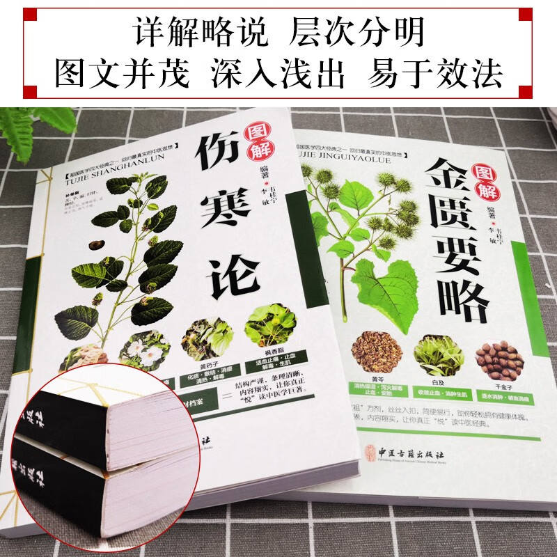 全2册图解中医四大经典名著自学入门医学书中医基础理论知识书籍 默认规格